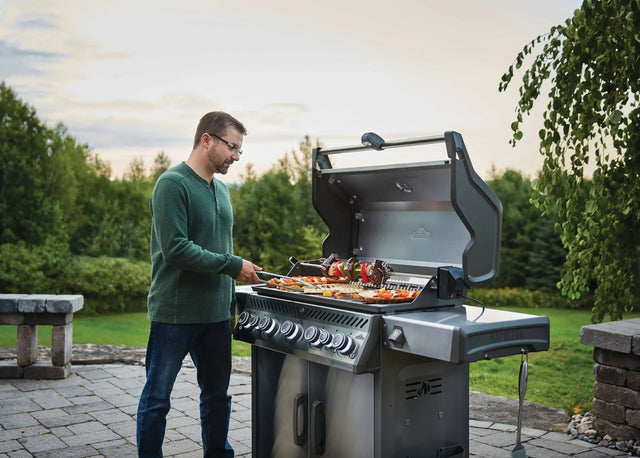 Napoleon BBQ - Rogue - ambiento.ch