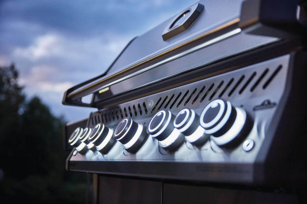 Napoleon Gasgrill Rogue SE 625 RSIB Edelstahl - ambiento.ch